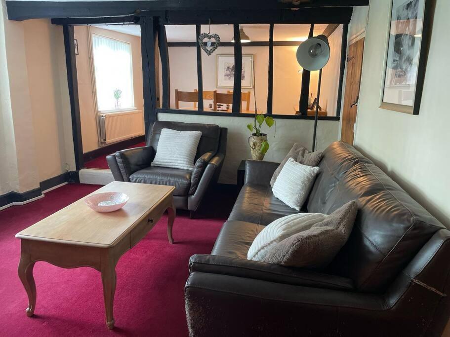Cosy Daffodil Eythorne